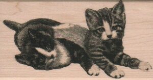 Two Kittens 2 3/4 x 5-0