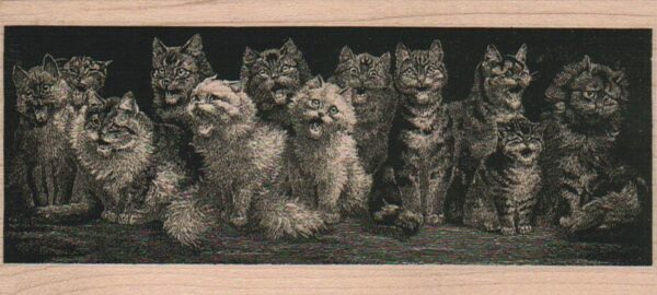 Crowd O' Cats 2 1/4 x 5 1/2-0
