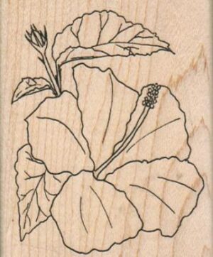 Hibiscus Flower 2 1/2 x 3-0