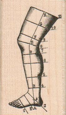 Numbered Leg 1 1/2 x 2 1/2-0