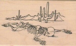 Skeleton In Desert 3 x 4 3/4-0