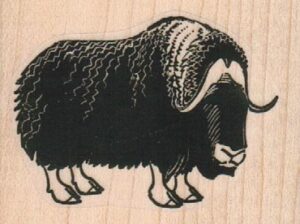 MuskOx 2 x 1 1/2-0