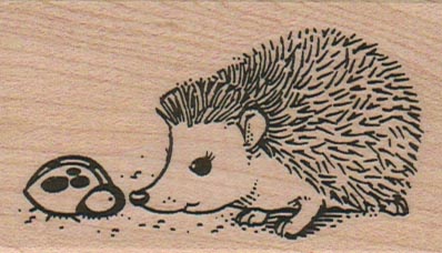 Hedgehog Curious 1 3/4 x 2 3/4-0