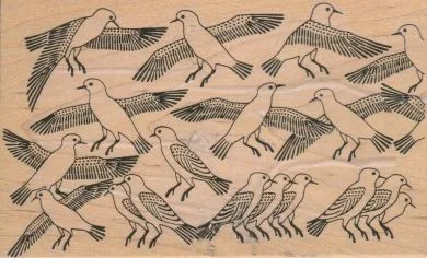 Bird Background 4 x 6-0