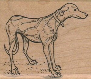 Dog With Collar 2 1/2 x 2 3/4-0