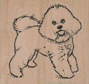 Smiling Bichon Side 2 1/4 x 2-0