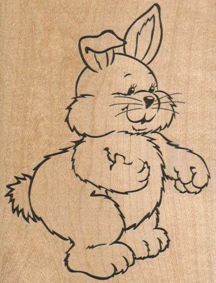 Big Bunny 3 x 3 3/4-0