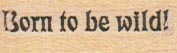 Born To Be Wild 3/4 x 1 1/4-0
