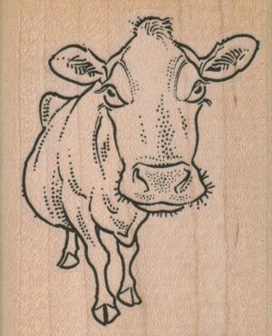 Bossie Cow 2 1/4 x 2 3/4-0