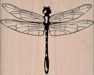 Dragonfly/Giant 4 3/4 x 3 3/4-0