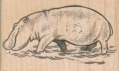 Hippo Wading 3 x 1 3/4-0