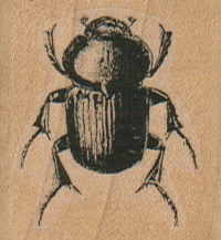 Beetle 1 1/2 x 1 1/2-0
