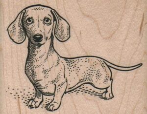 Wiener Dog 3 1/4 x 2 1/2-0