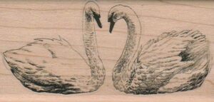 Swans Facing 2 x 4-0