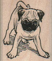 Standing Pug 1 1/2 x 1 3/4-0