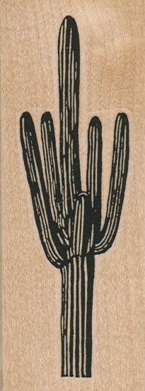 Saguaro Cactus 1 1/2 x 3 3/4-0