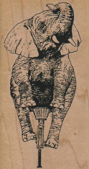 Elephant On Bike 2 3/4 x 5-0