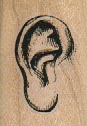 Ear 1 x 1 1/4-0