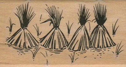Rice Sheaves 1 3/4 x 3-0