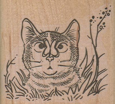 Cat With Butterfly On Nose 2 3/4 x 2 1/2-0