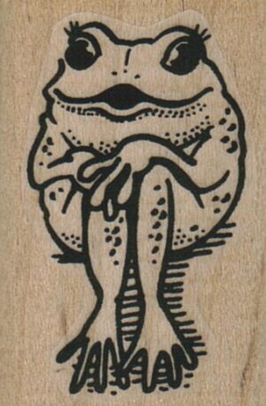 Demure Frog 1 1/4 x 1 3/4-0