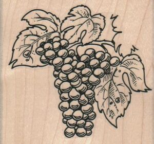 Grapes And Leaves 3 1/4 x 3-0