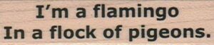 I'm A Flamingo In A Flock 3/4 x 2 3/4-0