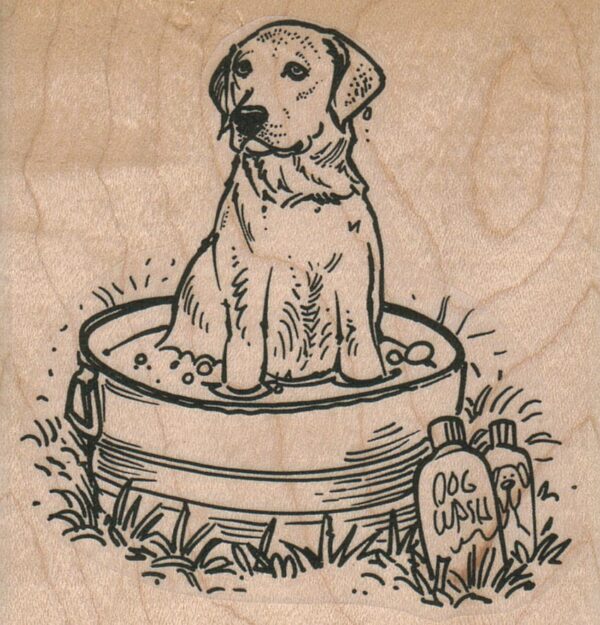 Labrador Retriever Dog Bath 3 x 3-0
