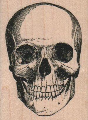 Skull 2 1/2 x 3 1/4-0