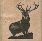 Buck With Antlers 1 x 1-0