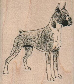 Boxer Dog 2 1/4 x 2 1/2-0