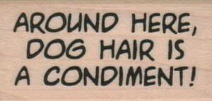 Around Here, Dog Hair 1 x 1 3/4-0