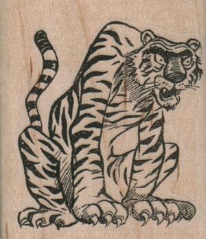 Angry Tiger 1 3/4 x 2-0