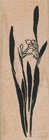 Daffodils 1 1/4 x 3 1/4-0