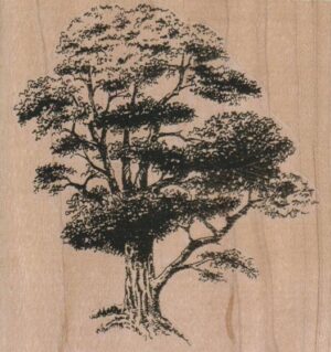 Tree 3 3/4 x 3 3/4-0