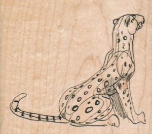 Sketched Leopard 3 3/4 x 3 1/4-0