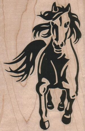 Horse Face On 3 x 4 1/4-0