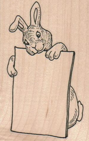 Bunny With Board 2 1/4 x 3 1/4-0