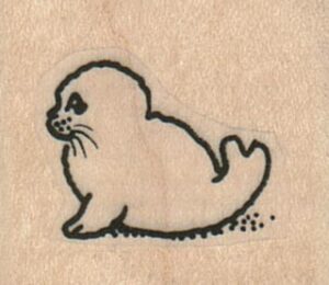 Baby Seal Side 1 1/4 x 1-0