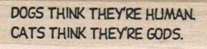 Dogs Think They're Human 3/4 x 2 1/2-0