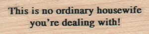 This Is No Ordinary Housewife 3/4 x 2 1/2-0