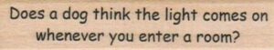 Does A Dog Think The Light 3/4 x 3-0