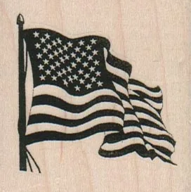 American Flag 2 x 2-0