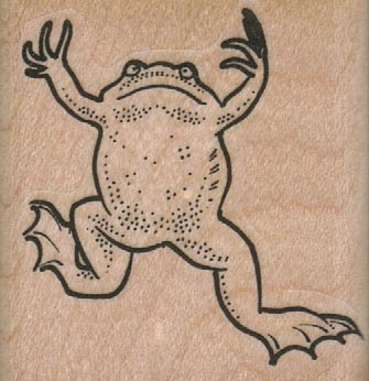 Swimming Frog 1 3/4 x 1 3/4-0