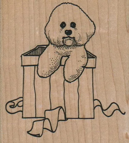 Bichon In Gift Box 3 x 3 1/4-0