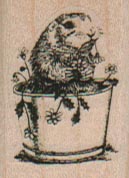 GoundHog In Pot/Sm 1 x 1 1/4-0