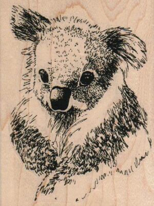 Koala Bear/Lg 3 1/2 x 4 1/2-0