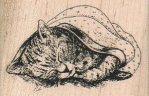 Kitten & Mouse In Blanket/Lg 2 3/4 x 1 3/4-0