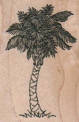 Palm Tree 2 x 2 3/4-0