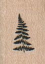 Fir Tree 3/4 x 3/4-0